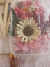 耀好扇子DIY团扇手工制作材料包永生花干花手工活动端午节手工成人工艺品自己做六一儿童节手工 DIY材料包-暗香 实拍图