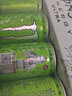 可口可乐（Coca-Cola）魔爪 Monster功能饮料 能量型维生素 运动饮料330ml 魔爪奇异果苹果味24罐（无糖） 实拍图