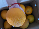 玖原农珍 赣南脐橙现摘新鲜榨汁水果橙子 年货水果礼盒 18斤净果彩箱精品果200-300g 实拍图
