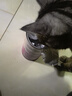 爱立方鸡肉粒补钙猫咪零食猫粮生骨肉宠物鸡胸肉主食冻干猫零食小鱼干 【细腻口感】鸡肉丁60g 实拍图
