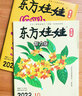 【多刊订阅送好礼】东方娃娃杂志2025年11月起订2026全年订阅12个月（可改起订月）智力版绘本版美术幼儿大科学数学 3-8岁儿童幼儿园中班大班图画书科普亲子阅读书非过刊 现货【智力版】全年珍藏24 实拍图