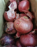 中鲜生 云南紫皮洋葱现挖红皮洋葱新鲜蔬菜生鲜当季新鲜洋葱 5斤装【普通装】 实拍图