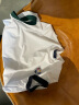 RYDER CUP莱德杯高尔夫服装男装短袖T恤24夏季全新轻薄凉感弹力立领运动T恤 白色 L 晒单实拍图