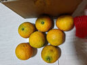 集年鲜赣南脐橙手剥甜橙子新鲜现摘生鲜水果整箱节日送礼 净重2.6斤实惠果（单果100-149g) 实拍图