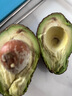京遇良橙牛油果油 鳄梨 生鲜新鲜水果礼盒果蔬非即食 4粒单果100g起【轻催熟】 实拍图