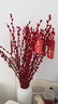 花翁鲜枝干花花卉植物 贵妃瓷瓶+60cm高红色银柳40支+666挂件源头直发 实拍图