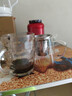 暮云泡茶壶加厚玻璃茶壶大容量办公室茶具养生高硼硅耐高温 450ml 实拍图