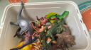 贝恩施儿童恐龙模型玩具全套软胶仿真恐龙-15件套（赠收纳盒）六一儿童节礼物 晒单实拍图