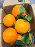 甜萌果蔬四川爱媛38号果冻橙当季柑橘冰糖橙子桔子新鲜水果礼盒中秋送礼 6A级精品果丨单果65-70mm【香甜】 5斤装【热销超划算丨30年老树果】净4.5斤 实拍图