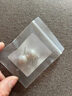 PWL韩国fever同款施家珍珠耳钉女999足银名媛澳白养耳洞爆款耳环耳饰 施家白珍珠耳钉14mm 实拍图