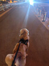 宠德多狗绳狗狗牵引绳遛狗绳胸背带狗链子防爆冲中大型犬金毛拉布拉多 黑色 XXL（建议90-140斤） 实拍图