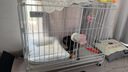 亮佳洁纳米漆diy狗笼猫舍中小型犬多功能方扣宠物笼具加厚新款宠物笼 实拍图