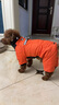 SLPC狗狗衣服冬天保暖中小型犬加厚四脚狗棉衣泰迪柯基小狗幼犬冲锋衣 橙 XL（适合约12-15斤） 实拍图