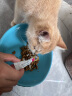 MAG猫咪益生菌2g*10袋 猫布拉迪布拉氏酵母菌幼猫宠物调理肠胃肠道宠物肠胃宝 实拍图
