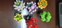 斯纳恩儿童玩具积木拼装花束多肉植物盆栽乐高盲盒桌面摆件生日礼物 实拍图