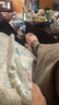 babycare皇室狮子王国纸尿裤bbc宝宝尿片夏季超薄透气尿不湿尿片迷你装 纸尿裤【L】20片 适合9-14KG 实拍图
