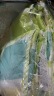 富安娜 邂逅阳光 抑菌纤维被 纯棉面料 空调被 夏凉被 3.5斤 230*229cm绿色 实拍图