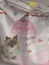 皇家猫粮 BK34猫奶糕全价粮1-4月龄K36幼猫猫粮怀孕及哺乳期母猫 BK34猫奶糕（1-4月）10kg 实拍图