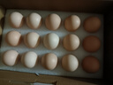 1号会员店可生食鸡蛋30枚净重3.6斤精选大码蛋礼盒装 源头直发 实拍图