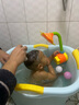 奔麦婴儿洗澡盆儿童洗澡桶圆形宝宝泡澡桶浴桶可坐加厚塑料沐浴盆家用 加大号【感温款+玩具花洒】蓝 实拍图