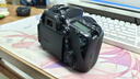 佳能/Canon 60D 70D 77D 80D 90D 半画幅 中高端单反 二手单反相机 数码相机 70D +18-55 套机 95成新 实拍图