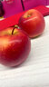嗯嗯乐新西兰试管火箭小苹果Rockit Apple新鲜进口苹果水果 6筒1470g礼盒装 实拍图