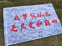 QUEENJOYdiy数字油画玫瑰手工填色油彩画治愈手工简约花卉客厅装饰画挂画 山茶花01 【绷好内框+画笔颜料】 30cm*40cm 实拍图