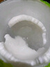 京鲜生哇迪卡 泰国椰子蛋2个装 单果500g/个源头直发 包邮 中秋水果礼盒 实拍图