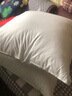 恒源祥纯棉抱枕芯 万能方形沙发靠垫内胆 45 50 55枕头芯酒店单只一对装 一对装-普通款 65cm*65cm 含枕芯 实拍图