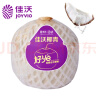 佳沃（joyvio）泰国进口椰青香水椰子 2个尝鲜装 中果800g+ 新鲜水果 源头直发 实拍图