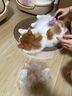 FURminator富美内特猫梳子布偶长毛猫梳毛刷猫用宠物梳子去毛神器梳毛神器 长毛小型猫≤4.5kg 实拍图
