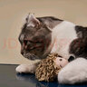 贵为（GiGwi）猫玩具炫律猎物刺猬仿真发声猫咪玩具逗猫棒老鼠逗猫棒宠物玩具 实拍图