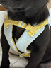 TUFF HOUND它愿狗狗牵引绳遛狗绳子中小型犬防爆冲轻便型胸背带TF022天空蓝S 晒单实拍图