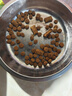 伟嘉成猫猫粮1.3kg牛肉味布偶蓝猫橘猫加菲英短猫咪夹心粮全价粮 实拍图