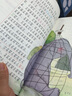 十二生肖的故事 注音彩绘儿童版小学生版注音版 拼音读物青少年版 小学一二年级三年级课外阅读书籍 儿童文学读物7-10岁 实拍图