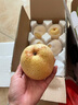 京地达梨砀山梨酥梨净重4.5斤单果250g+梨子当季新鲜水果源头直发包邮 实拍图