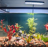 尼奥光鱼缸灯水草灯LED灯S3proRGB植物光谱 【二代】8W尼奥S3【适用20-30鱼缸】 实拍图