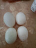 豫宛农夫农家散养生鸭蛋 鲜土鸭蛋  新鲜发货 10枚装 单枚60-70g 实拍图