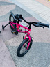 途锐达铝合金儿童自行车3-6-8岁女孩男孩脚踏车小孩学生单车16寸蔷薇粉 实拍图