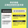 史丹利 绿植营养肥料盆栽植物通用型室内有机家庭绿叶观叶型复合肥500g 实拍图