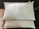 水星家纺枕头枕芯酒店枕头护颈枕头芯家用一对纯棉抗菌可水洗低枕48x74cm 实拍图