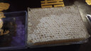 清风岭 【肖氏蜂蜜】蜂巢蜜 蜂蜜 新蜜上市 农家自产新蜂巢蜜 土蜂蜜 蜂窝 嚼着吃盒装 【整块特惠装】500克盒装 实拍图