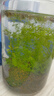 贝德玛（BIODERMA）【双11】粉水舒妍舒缓洁肤液250ml卸妆水敏感肌可用温和无需水洗 实拍图
