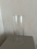 墨斗鱼玻璃花瓶透明植物插花瓶水培容器大花瓶装饰客厅摆件直筒款25cm 晒单实拍图