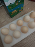 京鲜生鲜鸡蛋10枚/盒 健康轻食 营养健康1斤/盒 源头直发  实拍图