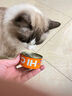 海洋之星猫罐头猫零食主食罐头85g 成猫幼猫咪肉罐 实拍图