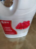 蒙牛红枣风味酸牛奶1kg 活性乳酸菌大桶家庭装低温酸奶 4桶（泡沫箱+冰袋） 实拍图