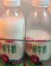 天润新疆鲜奶 A2β-酪蛋白 3.8g优质蛋白鲜牛奶低温奶 480g*3瓶 实拍图