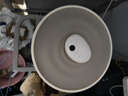 小熊（Bear）加湿器家用卧室 桌面大雾量办公室空调房轻音 母婴幼儿空气净化抑菌加湿器小型 JSQ-C45U1 实拍图
