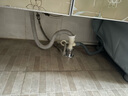 潜水艇（Submarine） 洗衣机地漏下水三通接头连接水盆和洗衣机排水管下水道地漏防臭 【防臭升级款】洗衣机+洗手池 实拍图